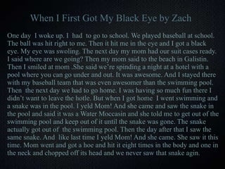 When I First Got My Black Eye by Zach One day  I woke up. I  had  to go to school. We played baseball at school. The ball was hit right to me. Then it hit me in the eye and I got a black eye. My eye was swoling. The next day my mom had our suit cases ready. I said where are we going? Then my mom said to the beach in Galistin. Then I smiled at mom .She said we’re spinding a night at a hotel with a pool where you can go under and out. It was awesome. And I stayed there with my baseball team that was even awesomer than the swimming pool. Then  the next day we had to go home. I was having so much fun there I didn’t want to leave the hotle. But when I got home  I went swimming and a snake was in the pool. I yeld Mom! And she came and saw the snake in the pool and said it was a Water Moccasin and she told me to get out of the swimming pool and keep out of it until the snake was gone. The snake actually got out of  the swimming pool. Then the day after that I saw the same snake. And  like last time I yeld Mom! And she came. She saw it this time. Mom went and got a hoe and hit it eight times in the body and one in the neck and chopped off its head and we never saw that snake agin. 