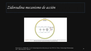Zidovudina mecanismo de acción
Echevarría, S., & Mediavilla, A. (s.f.). Farmacología de las infecciones por virus VIH. En J. Flórez, Farmacología Humana (págs.
1337 - 1358). Barcelona: Elsevier.
24
 