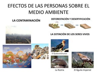 EFECTOS DE LAS PERSONAS SOBRE EL
MEDIO AMBIENTE
LA CONTAMINACIÓN
DEFORESTACIÓN Y DESERTIFICACIÓN
La Nutria El Águila Imper...