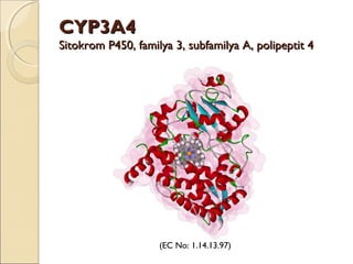 CYP3A4CYP3A4
SitokromSitokrom P450P450,, familyfamilyaa 3, subfamily3, subfamilyaa A, polA, polipeptit 4ipeptit 4
(EC No: 1.14.13.97)
 