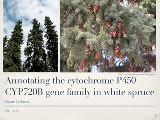 http://en.wikipedia.org/wiki/Picea_glauca



Annotating the cytochrome P450
CYP720B gene family in white spruce
Shaun Jackman

2012-11-23
                                                                 1
 