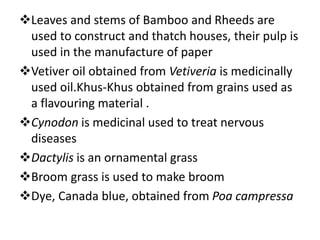 Leaves and stems of Bamboo and Rheeds are
used to construct and thatch houses, their pulp is
used in the manufacture of paper
Vetiver oil obtained from Vetiveria is medicinally
used oil.Khus-Khus obtained from grains used as
a flavouring material .
Cynodon is medicinal used to treat nervous
diseases
Dactylis is an ornamental grass
Broom grass is used to make broom
Dye, Canada blue, obtained from Poa campressa
 