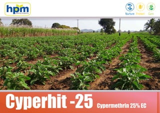 Cyperhit 25
