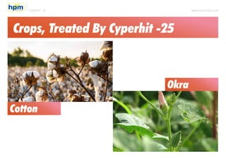 Cyperhit 25