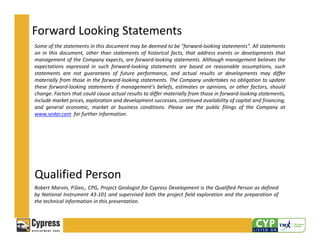 Project Look Back Look Forward Project Statement Example cypress012115 ppt | PDF