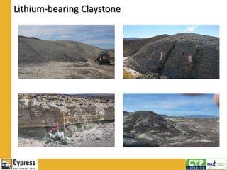 Lithium-bearing Claystone
 