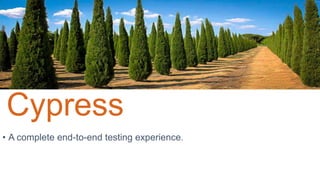 • A complete end-to-end testing experience.
Cypress
 
