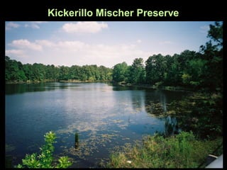 Kickerillo Mischer Preserve
 