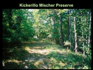 Kickerillo Mischer Preserve
 