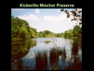 Kickerillo Mischer Preserve
 