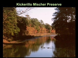 Kickerillo Mischer Preserve
 