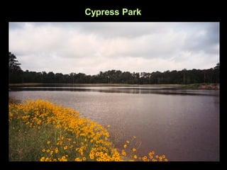 Cypress Park
 