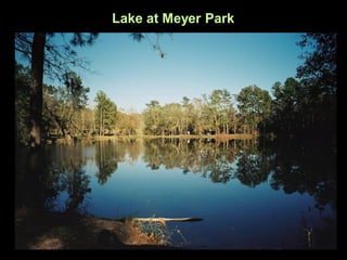 Lake at Meyer Park
 