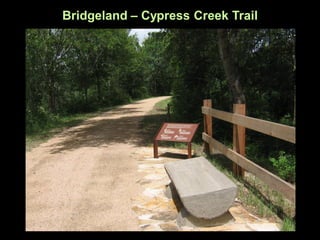 Bridgeland – Cypress Creek Trail
 