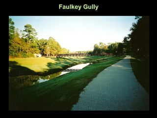 Faulkey Gully
 