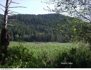 Duck Lake
Sunday, September 22, 13
 