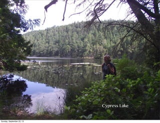 Cypress Lake
Sunday, September 22, 13
 