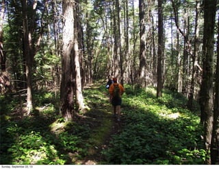 Sunday, September 22, 13
 