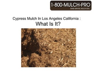 Cypress Mulch In Los Angeles California :    What Is It? Why use Mulch In Los Angeles California? Los Angeles California has the best Mulch.  Using mulch can benefit your garden and landscape. Los Angeles California is known for its beautiful mulched landscaped gardens. There are many different types of mulch in Los Angeles California. There is inorganic and organic mulch for your gardens and landscape.   Find the best mulch in Los Angeles California by calling 1-800-MULCH PRO.   