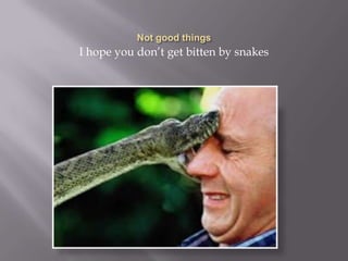 I hope you don’t get bitten by snakes
 