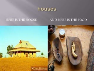 HERE IS THE HOUSE   AND HERE IS THE FOOD
 