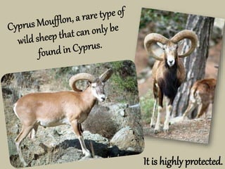 It is highly protected.
 