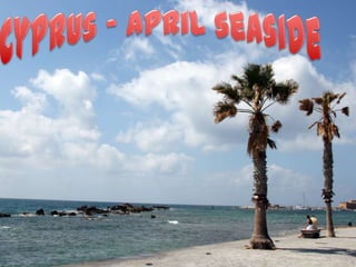 Cyprus - April seaside  