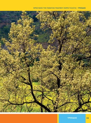 99
ΙΕΡΟΣ ΝΑΟΣ ΤΗΣ ΠΑΝΑΓΙΑΣ ΠΟΔΥΘΟΥ (ΧΩΡΙΟ ΓΑΛΑΤΑ) - ΤΡΟΟΔΟΣ
ΤΡΟΟΔΟΣ
 