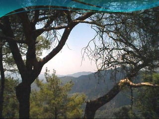 Cyprus Ayia Napa Primary School