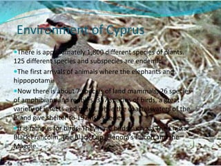 It has dry summers and rainy winters. 