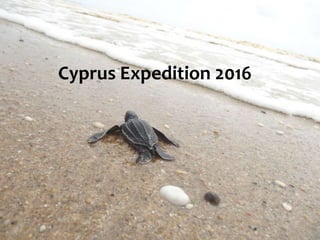 Cyprus Expedition 2016
 