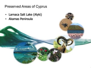 Preserved Areas of Cyprus

• Larnaca Salt Lake (Alyki)
• Akamas Peninsula
 