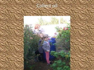 Collect oil
 