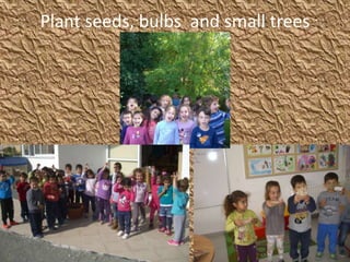 Plant seeds, bulbs and small trees
 