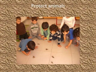 Protect animals
 