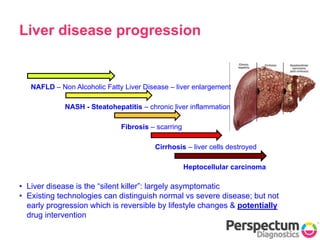 Liver disease progression
NAFLD – Non Alcoholic Fatty Liver Disease – liver enlargement
NASH - Steatohepatitis – chronic liver inflammation
Fibrosis – scarring
Cirrhosis – liver cells destroyed
Heptocellular carcinoma
• Liver disease is the “silent killer”: largely asymptomatic
• Existing technologies can distinguish normal vs severe disease; but not
early progression which is reversible by lifestyle changes & potentially
drug intervention
 