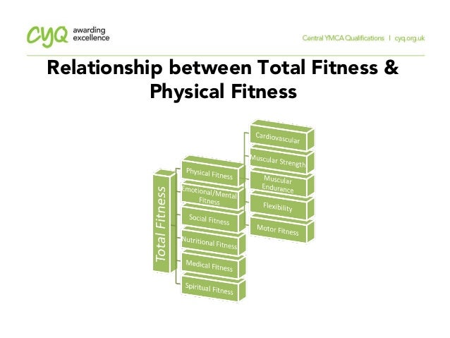 Relationship Between Total Fitness 11 The Components Relationship Between Total Fitness 11 The Components