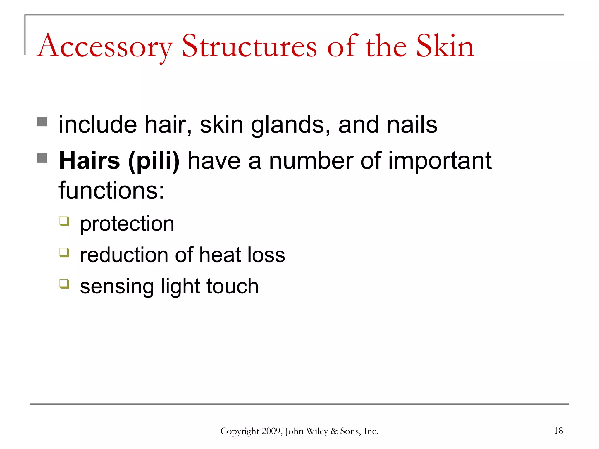 Copyright 2009, John Wiley & Sons, Inc. 18
Accessory Structures of the Skin
 include hair, skin glands, and nails
 Hairs (pili) have a number of important
functions:
 protection
 reduction of heat loss
 sensing light touch
 