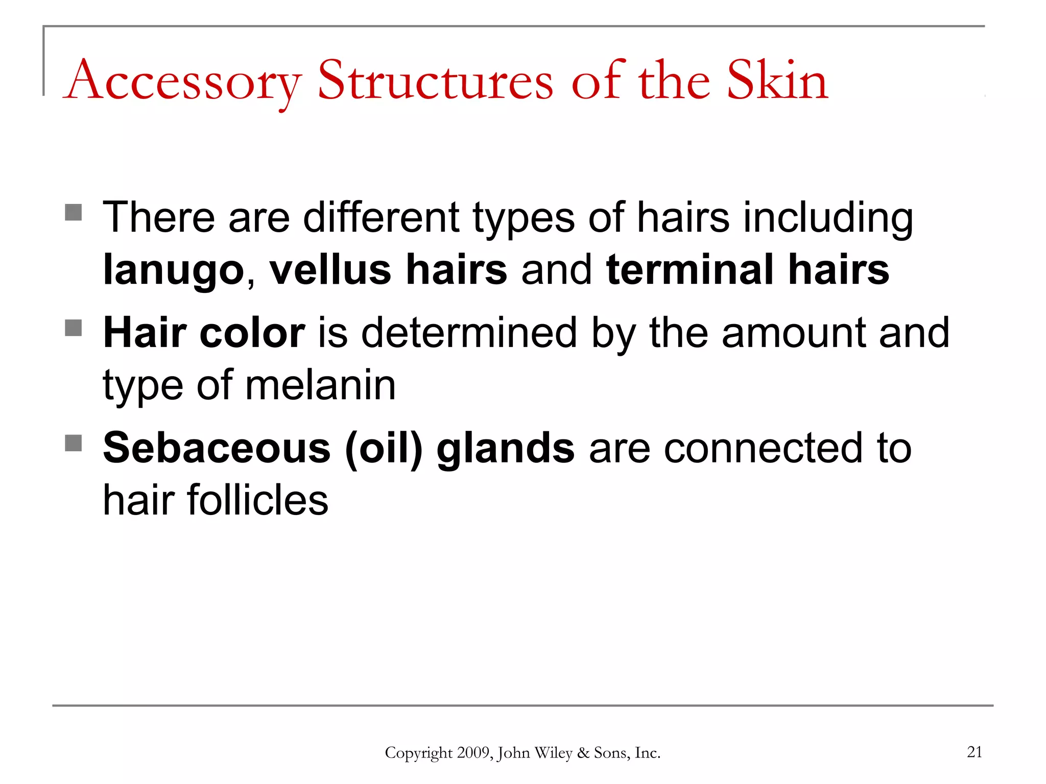 Copyright 2009, John Wiley & Sons, Inc. 21
Accessory Structures of the Skin
 There are different types of hairs including
lanugo, vellus hairs and terminal hairs
 Hair color is determined by the amount and
type of melanin
 Sebaceous (oil) glands are connected to
hair follicles
 