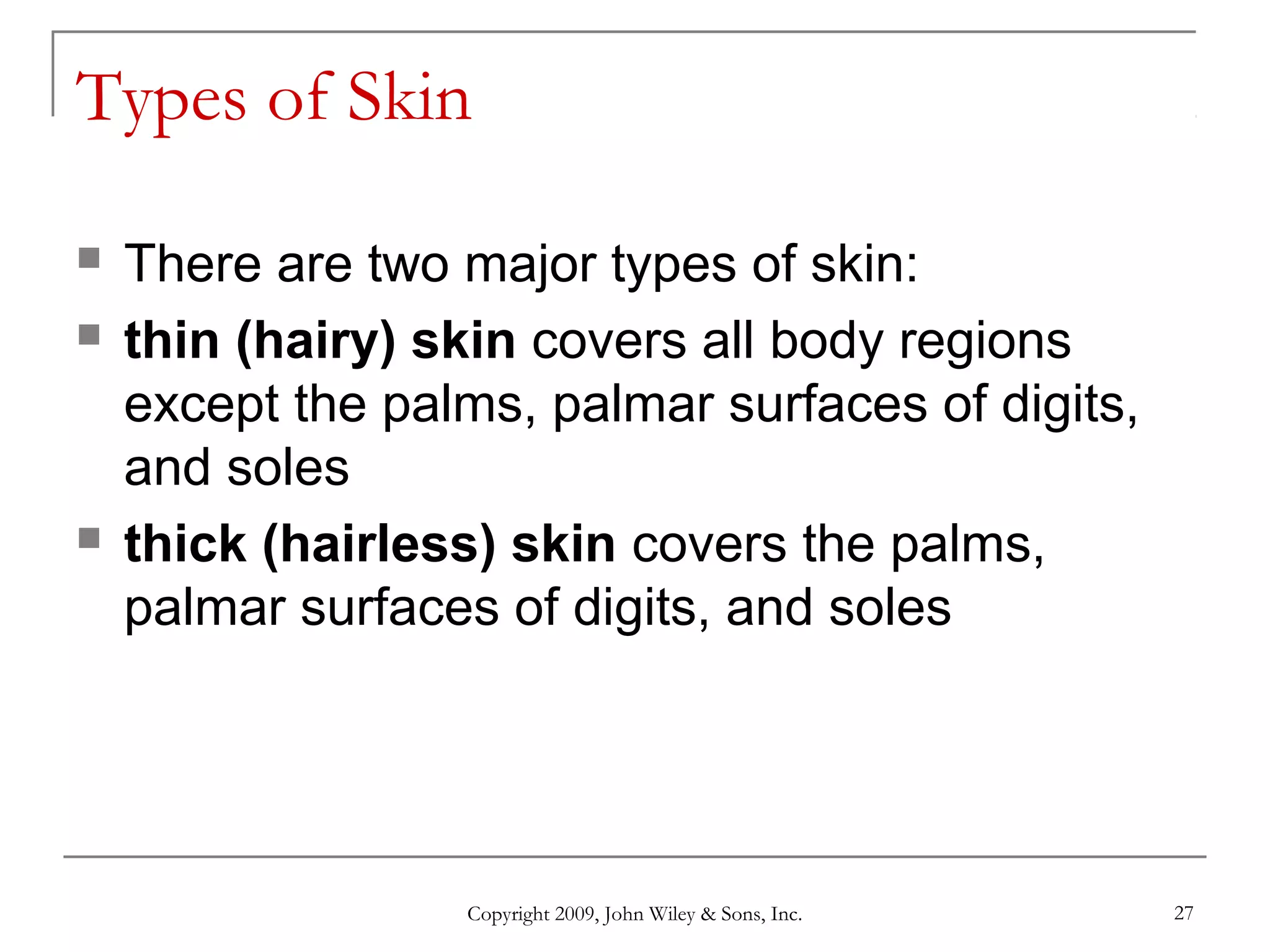 Copyright 2009, John Wiley & Sons, Inc. 27
Types of Skin
 There are two major types of skin:
 thin (hairy) skin covers all body regions
except the palms, palmar surfaces of digits,
and soles
 thick (hairless) skin covers the palms,
palmar surfaces of digits, and soles
 
