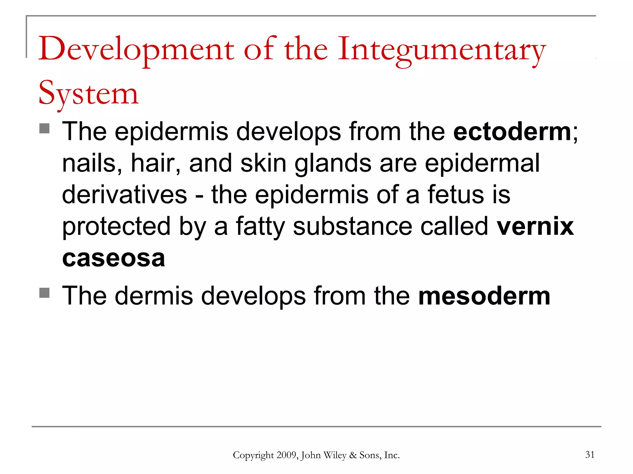 Copyright 2009, John Wiley & Sons, Inc. 31
Development of the Integumentary
System
 The epidermis develops from the ectoderm;
nails, hair, and skin glands are epidermal
derivatives - the epidermis of a fetus is
protected by a fatty substance called vernix
caseosa
 The dermis develops from the mesoderm
 