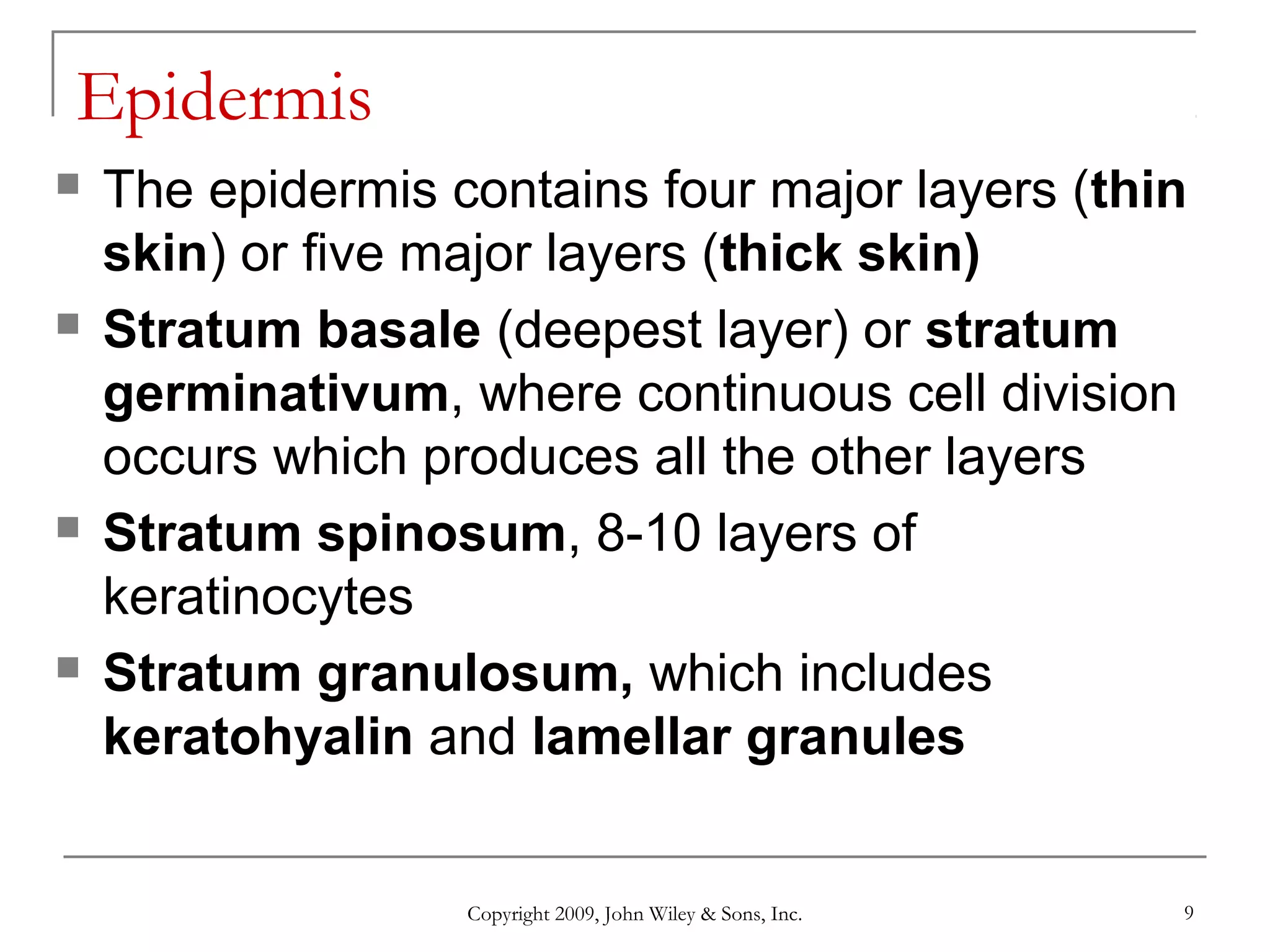 Copyright 2009, John Wiley & Sons, Inc. 9
Epidermis
 The epidermis contains four major layers (thin
skin) or five major layers (thick skin)
 Stratum basale (deepest layer) or stratum
germinativum, where continuous cell division
occurs which produces all the other layers
 Stratum spinosum, 8-10 layers of
keratinocytes
 Stratum granulosum, which includes
keratohyalin and lamellar granules
 