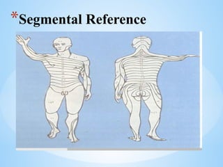 *Segmental Reference
 