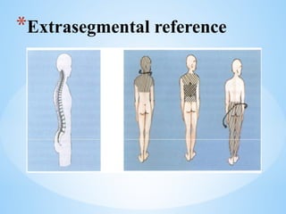 *Extrasegmental reference
 