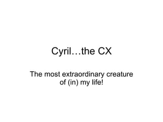 Cyril…the CX The most extraordinary creature of (in) my life! 