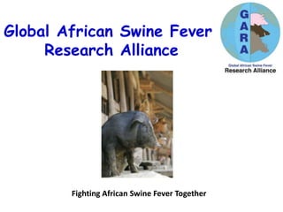 Global African Swine Fever
Research Alliance
Fighting African Swine Fever Together
 