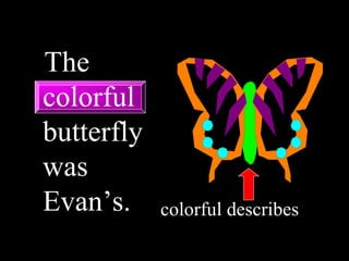 The
colorful
butterfly
was
Evan’s. colorful describes
 