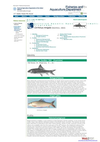 FAO Home >Fisheries & Aquaculture
        Food and Agriculture Organization of the United                              Fisheries and
        Nations
        for a world without hunger
                                                                          Aquaculture Department
       Español Français         Русский                                                                Search...               OK more»
   Home           About us       Activities       Statistics    GeoInfo        Meetings and News      Publications          Fact Sheets

                             S o u C c te a Xt M o n
                                    r| i     | i L
                                                 |                                                                 Search cultured species
Fishery resources            P r i n t
 Capture fisheries                         C u l t u r e d  A q u a t i c                          S p e c i e s               I n f o r m a t i o n
 resources
                                           P r o g r a m m e
 Aquaculture
 resources
 State of world
                                           Cirrhinus mrigala (Hamilton, 1822)
 aquaculture
      Main cultured
     species
      Ornamental fish               I. Identity                                       V. Status And Trends
 Introduction of species                   a. Biological Features                    VI. Main Issues
 Genetic aquaculture
                                           b. Images Gallery                                a. Responsible Aquaculture Practices
 resources                          II. Profile                                     VII. References
                                           a. Historical Background                         a. Related Links
 Other aquaculture                         b. Main Producer Countries
 resources
                                           c. Habitat And Biology
                                 III. Production
                                           a. Production Cycle
                                           b. Production Systems
                                           c. Diseases And Control Measures
                                 IV. Statistics
                                           a. Production Statistics
                                           b. Market And Trade


                             Identity

                             Cirrhinus mrigala Hamilton, 1822                  [Cyprinidae]
                              FAO Names: En - Mrigal carp, Fr - , Es -




                                                                          Biological features
                             Body bilaterally symmetrical and streamlined, its depth about equal to length of head; body w ith
                             cycloid scales, head w ithout scales; snout blunt, often w ith pores; mouth broad, transverse;
                             upper lip entire and not continuous w ith low er lip, low er lip most indistinct; single pair of short
                             rostral barbels; pharyngeal teeth in three row s, 5.4.2/2.4.5 pattern; low er jaw w ith a small post-
                             symphysial knob or tubercle; origin of dorsal fin nearer to end of snout than base of caudal;
                             dorsal fin as high as body w ith 12 or 13 branched rays; last unbranched ray of dorsal fin non-
                             osseous and non-serrated; pectoral fins shorter than head; caudal fin deeply forked; anal fin not
                             extending to caudal fin; lateral line w ith 40-45 scales; lateral transverse scale row s 6-7/5½-6
                             betw een lateral line and pelvic fin base; usually dark grey above, silvery beneath; dorsal fin
                             greyish; pectoral, pelvic and anal fins orange-tipped (especially during breeding season).

                                                                          Images gallery




                                                  Cirrhinus mrigala



                             Profile
                                                                      Historical background
                             Mrigal (Cirrhinus mrigala), a carp endemic to Indo-Gangetic riverine systems, is one of the three
                             Indian major carp species cultivated w idely in Southeast Asian countries. This species has long
                             been important in polyculture w ith other native species, mainly in India. How ever, records of its
                             culture are available only from the early part of the 20 th century. The traditional culture of the
                             species w as restricted to eastern parts of India until the 1950s. The technology of artificial
                             propagation, w hich assured seed supply in the 1960s, led to the foundation of scientific carp
                             culture. The initially higher grow th rate of mrigal, coupled w ith its compatibility w ith other carps,
                             has helped in establishing this species as one of the principal component species in pond culture.
                             The species w as transplanted in the peninsular riverine systems of India, w here it has
                             established itself. Subsequently it has spread over w hole of India. In addition, mrigal has become
                             an important component in the fish culture systems of Bangladesh, Pakistan, Myanmar, the Lao
                             People's Democratic Republic, Thailand and Nepal. Mrigal has also been introduced into Sri Lanka,


                                                                                                                           converted by Web2PDFConvert.com
 