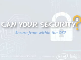 Secure from within the OS?

 