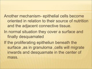 Another mechanism- epithelial cells become 
oriented in relation to their source of nutrition 
and the adjacent connective tissue. 
In normal situation they cover a surface and 
finally desquamated 
If the proliferating epitheliun beneath the 
surface ,as in granuloma ,cells will migrate 
inwards and desquamate in the center of 
mass. 
 
